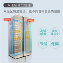 TCL 499升 風(fēng)冷無(wú)霜對(duì)開門雙開門電冰箱 隱形電腦控溫 纖薄機(jī)身(流光金) BCD-499WEF1
