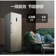 容聲(Ronshen) 252升 風冷無霜冰柜 立式冷凍柜  電腦控溫 一級能效BD-252WY