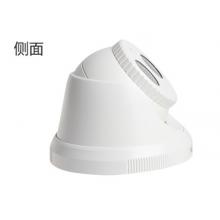 ?？低暰W(wǎng)絡(luò)監(jiān)控?cái)z像頭 網(wǎng)絡(luò)高清紅外30米半球監(jiān)控設(shè)備套裝 非POE 200萬(wàn)非POE DS-2CD1321D-I 2.8MM焦距