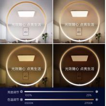 飛利浦（PILIPS）客廳燈L吸頂燈北歐現(xiàn)代簡約客廳臥室書房燈飾 四室一廳 9290031823怡軒智能Wii 套餐