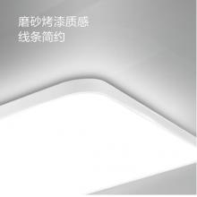 飛利浦 智能Wi-Fi LED慧知系列悅澤長方形吸頂燈115W兩室一廳套裝
