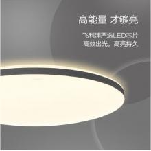 飛利浦led吸頂燈客廳臥室書(shū)房餐廳燈簡(jiǎn)約超薄現(xiàn)代大氣吸頂燈悅巧圓形36w 墻壁三色可調(diào) (灰黑色) 9290026441