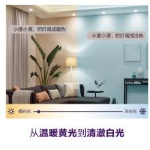 飛利浦 PHILIPS 智能Wi-Fi彩光和白光氛圍LED燈帶2米基礎(chǔ)裝(含驅(qū)動)