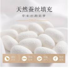南極人NanJiren 抗菌蠶絲被夏被 100%蠶絲空調(diào)被 雙人冰絲夏涼被夏季空調(diào)薄被子 200*230cm