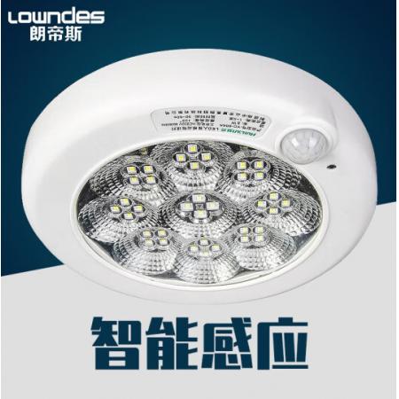 朗帝斯（LOWNDES） 人體感應(yīng)燈 智能聲控光控雷達(dá)led吸頂燈 梅花人體/大號12W白光