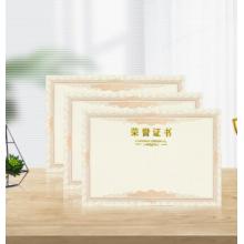 得印(befon)榮譽(yù)證書(shū)內(nèi)芯內(nèi)頁(yè) 結(jié)業(yè)證書(shū)獎(jiǎng)狀內(nèi)芯 學(xué)校企業(yè)褒獎(jiǎng)證書(shū)紙 A4紙張內(nèi)頁(yè) 文具 12張 2503