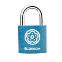  梅花（BLOSSOM）抽屜鎖掛鎖工具箱室內(nèi)小鎖宿舍柜子門鎖電表箱鎖BC2925藍(lán)25MM