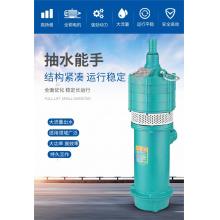 水泵 上海人民 多級(jí)潛水泵220V  50QD 2.2KW 48m 10m3 220V