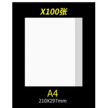 標本臺紙	A4臺紙100張